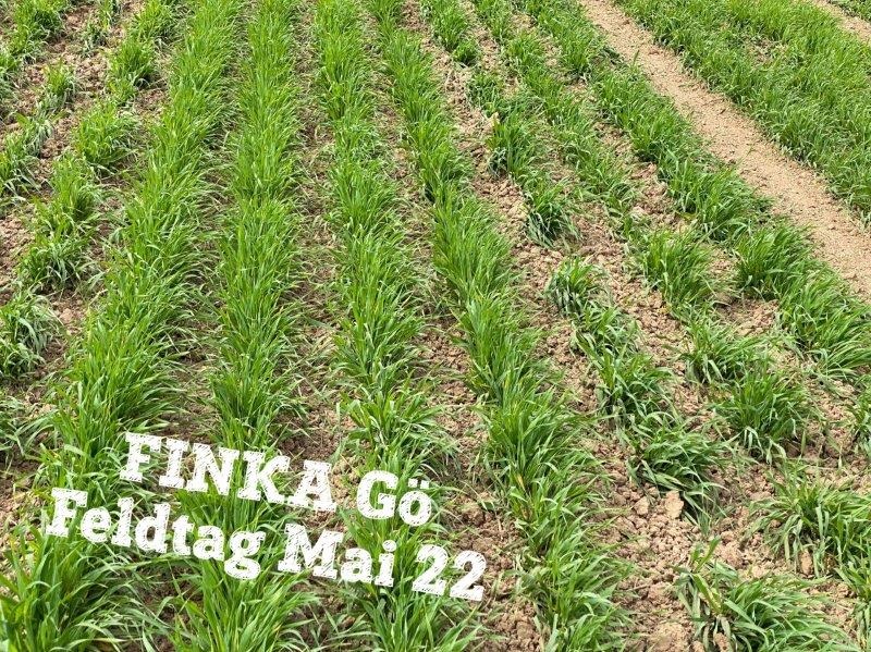 220513-FINKA-GOe-34