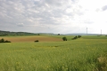 Landschaft-Windraeder-Seeburg-2022