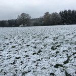Staufenberg 25.04.16