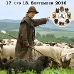 160917-AAH_Bundeshueten_2016